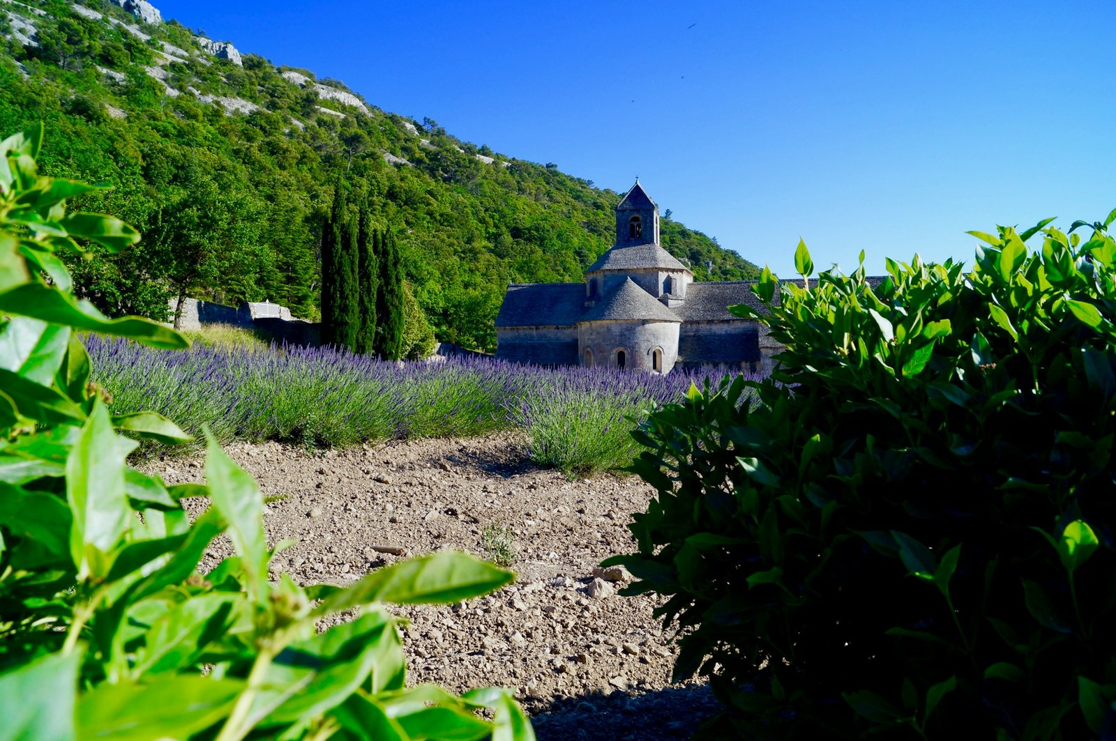 La Bastide des Oliviers